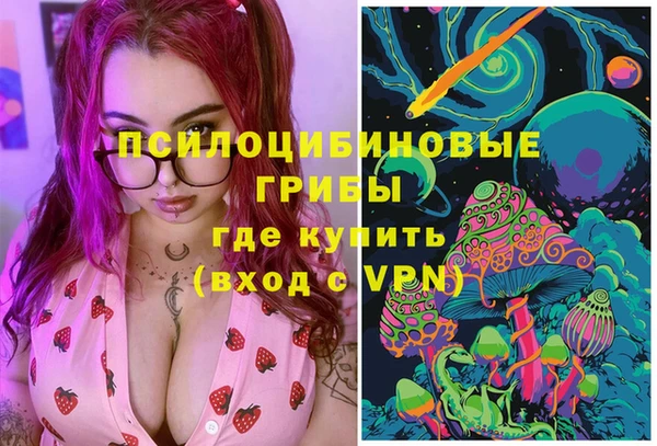 скорость Пересвет