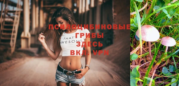 соль ск Переславль-Залесский