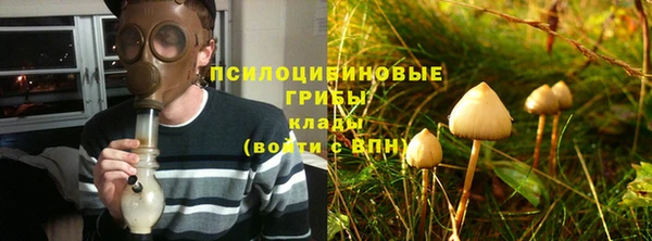 гашик Абаза