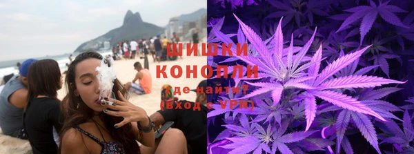 дмт Пестово