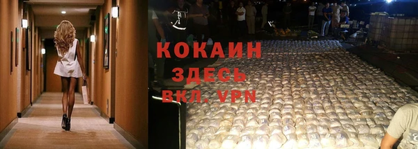 дмт Пестово