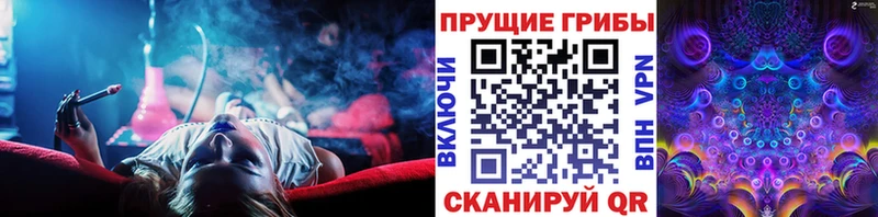 Псилоцибиновые грибы прущие грибы  купить  сайты  Инта 